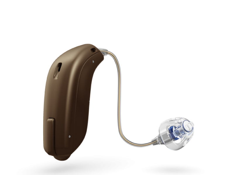 miniRITE_chestnut_brown.png miniRITE_chestnut_brown.png